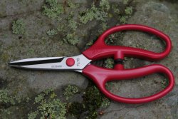 Floristsax 180 mm, rostfritt stål, röd