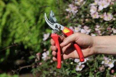 Zoom bild av ARS Ros sekatör med hållare