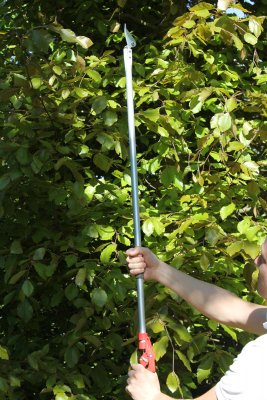 Zoom bild av Stångsekatör i proffskvalité från ARS