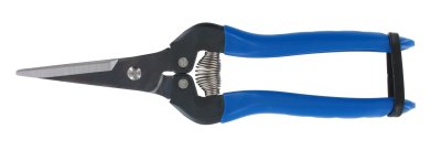 Zoom bild av ARS Florist sax / Blomsax, 190mm, Rak, blu, HACCP