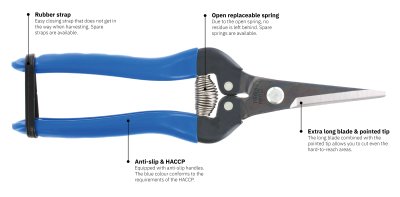 Zoom bild av ARS Florist sax / Blomsax, 190mm, Rak, blu, HACCP