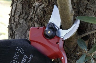 Zoom bild av Sladdlös batteridriven sekatör, cut 35mm