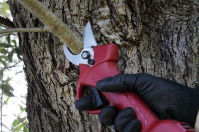 Zoom bild av Sladdlös batteridriven sekatör, cut 30mm