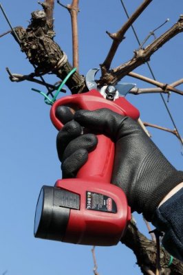 Zoom bild av Sladdlös batteridriven sekatör, cut 30mm