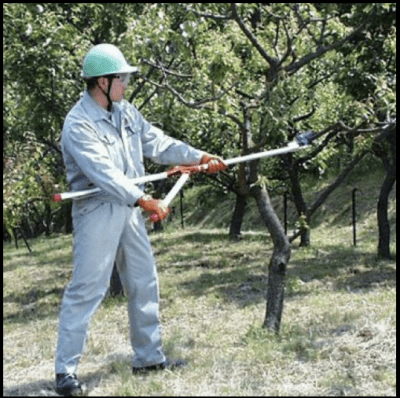 Zoom bild av ARS Long Reach Lopper