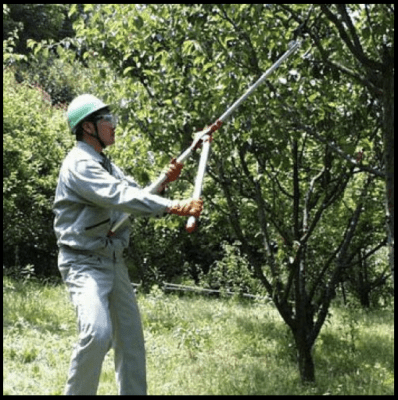 Zoom bild av ARS Long Reach Lopper