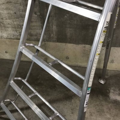 Hasegawa trädgårdsstege