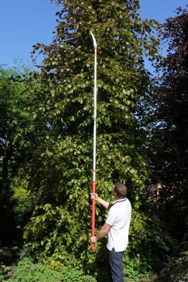 Zoom bild av ARS STÅNGSÅG, POLE SAW
