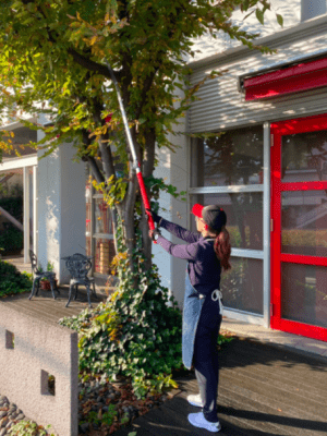 Zoom bild av ARS STÅNGSÅG, POLE SAW 1.8M