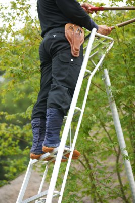 Hasegawa trädgårdsstege , japanska stege