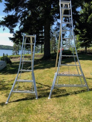 hasegawa japanska stege