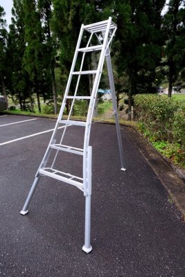 hasegawa trädgårdsstege