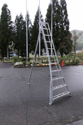 hasegawa trädgårdsstege , japanska stege