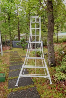 hasegawa trädgårdsstege japanska stege