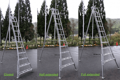 hasegawa trädgårdsstege japanska stege