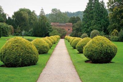 Zoom bild av ARS Häcksax PRO KR-1000