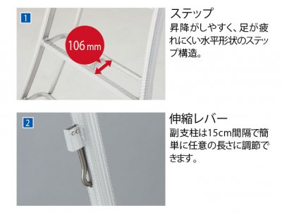 Hasegawa trädgårdsstege