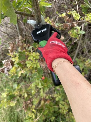 Zoom bild av Sladdlös Batteridriven Sekatör