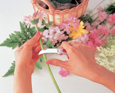 Zoom bild av ARS Ymp / Florist kniv