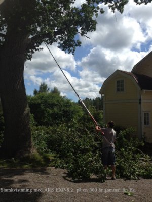 ARS STÅNGSÅG, POLE SAW