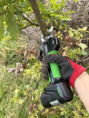 Zoom bild av Sladdlös Batteridriven Sekatör