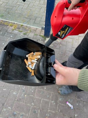 Zoom bild av skräpsugare