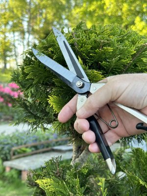 Zoom bild av Tsubota Pruning Shears, long blade