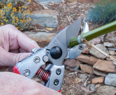 Zoom bild av ARS Anvil Sekatör VA-8Z, Storlek (M)