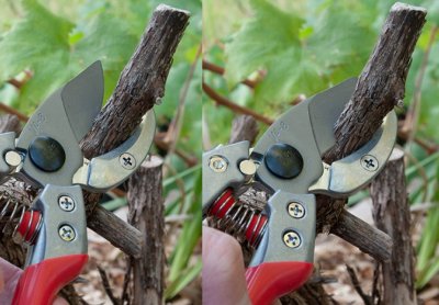 Zoom bild av ARS Anvil Sekatör VA-8Z, Storlek (M)