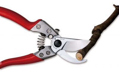 Zoom bild av BÄSTA I TEST sekatör, storlek M, ARS VS-8XZ