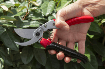 Zoom bild av ARS Proffs sekatör Rullhandtag ERGO,